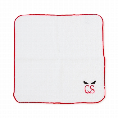 抗菌ハンドタオル（CS）